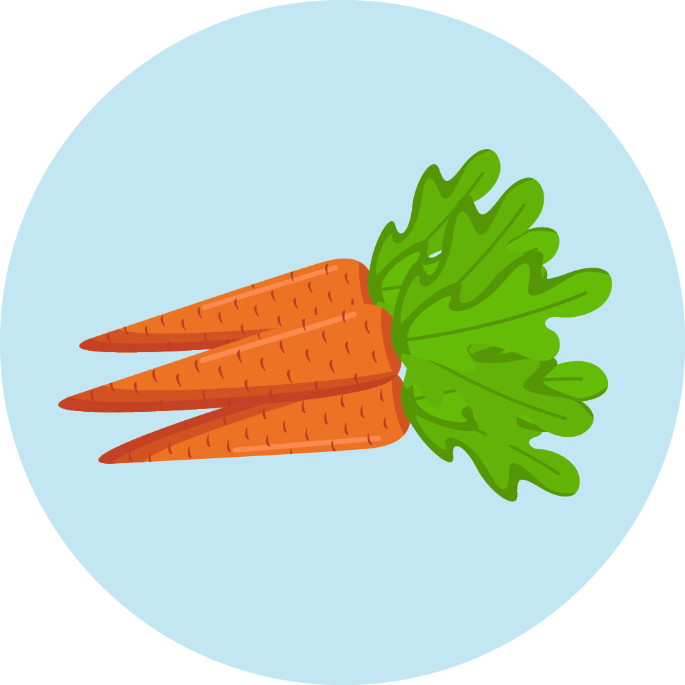 Морковь для детей. Морковка для малышей. Морковь для дошкольников. Морковь на тарелке. День морковки в детском саду