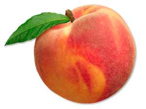 download.png
