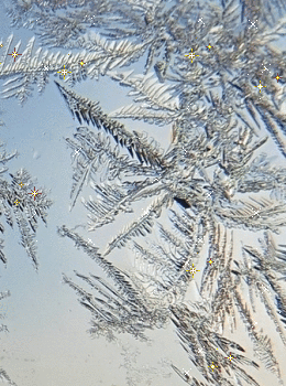 1068441.gif