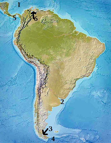 South America jrer.jpg