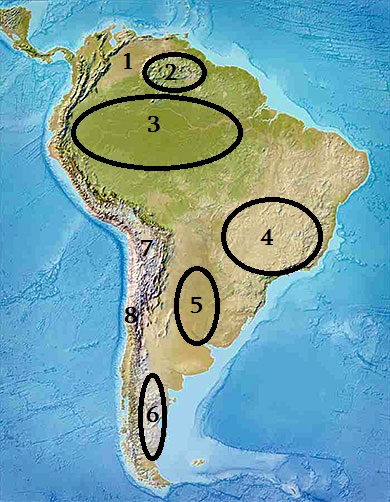 South America-relief.jpg