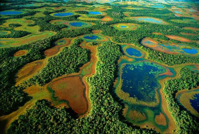 Pantanal-2.jpg