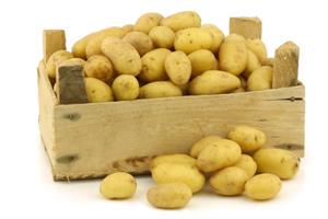 zaliha-krumpira.jpg