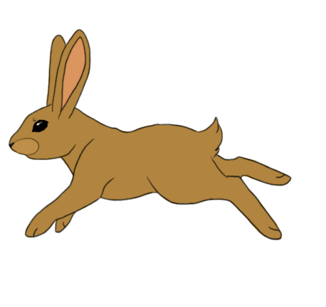 rabbit_animation_by_poket_skitts-d5uz2e4.gif