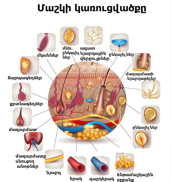 Дэнни Фентонның эротикалық суреттері