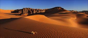 Africa desert3.jpg