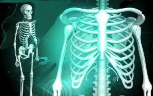 depositphotos_2673017-stock-photo-skeleton-and-human-rib.jpg