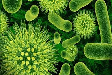 Los-g-rmenes-o-bacterias-Microsc-picas-iterbio-vista-ampliada-Cartel-Decorfor-Cuartos-de-Tela-de.jpg_640x640q90.jpg